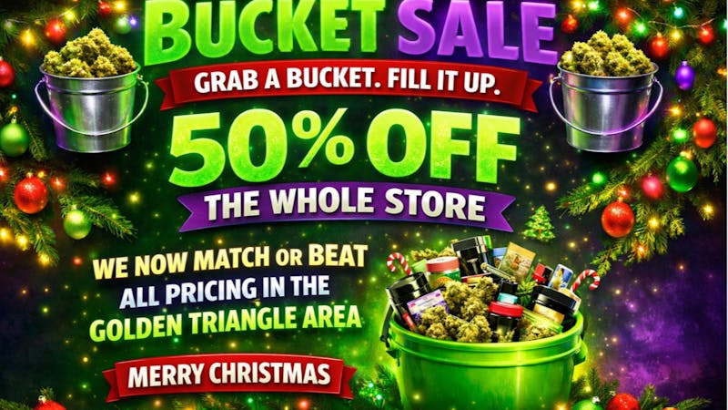 Mississippi Magnolia Canna - Columbus X-MAS COUNT DOWN SALE IS HERE !!