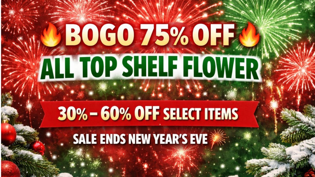 Mississippi Magnolia Canna - Columbus EARLY NEW YEARS SALE !!