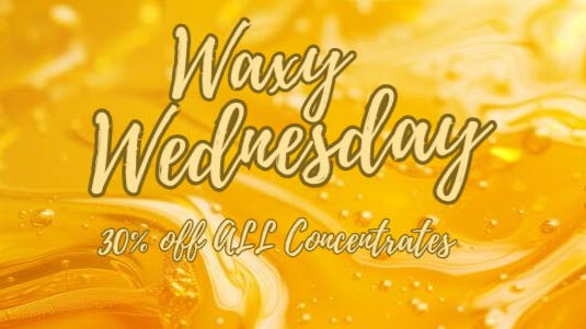 Mississippi Magnolia Canna - Columbus Waxy Wednesday!!!