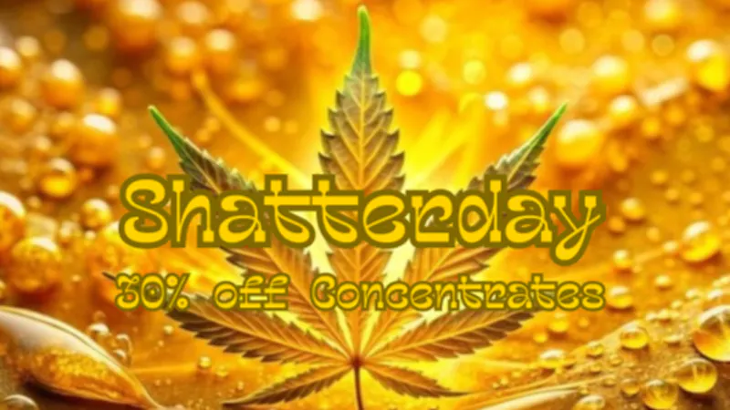 Mississippi Magnolia Canna - West Point Shatterday Sale!!!
