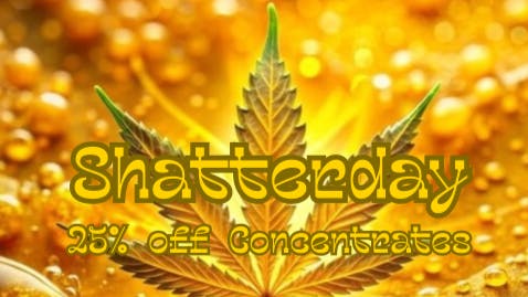 Mississippi Magnolia Canna - West Point Shatterday Sale!!!