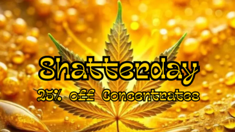 Mississippi Magnolia Canna - West Point Shatterday Sale!!!