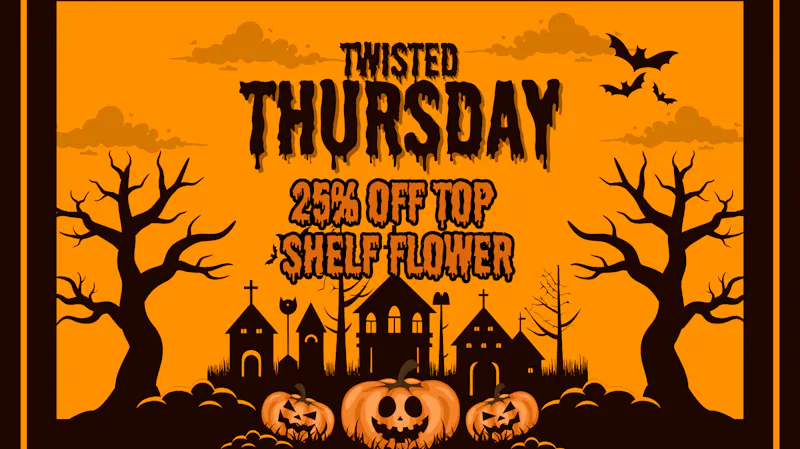 Mississippi Magnolia Canna - West Point 🎃🕸️ TWISTED THURSDAY🕸️🎃