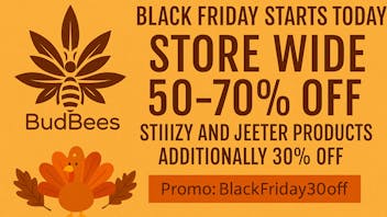 Bud Bees - Hollywood BLACK FRIDAY STARTS NOW! PROMO BLACKFRIDAY30OFF