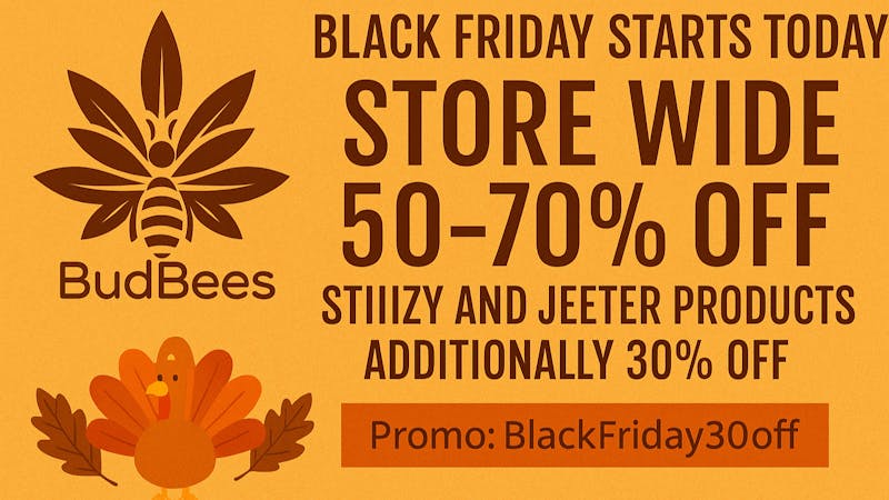 Bud Bees - Hollywood BLACK FRIDAY STARTS NOW! PROMO BLACKFRIDAY30OFF