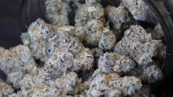 The Jive Dispensary - Claremore 🔥 Jive Flower Deals – Claremore 🔥