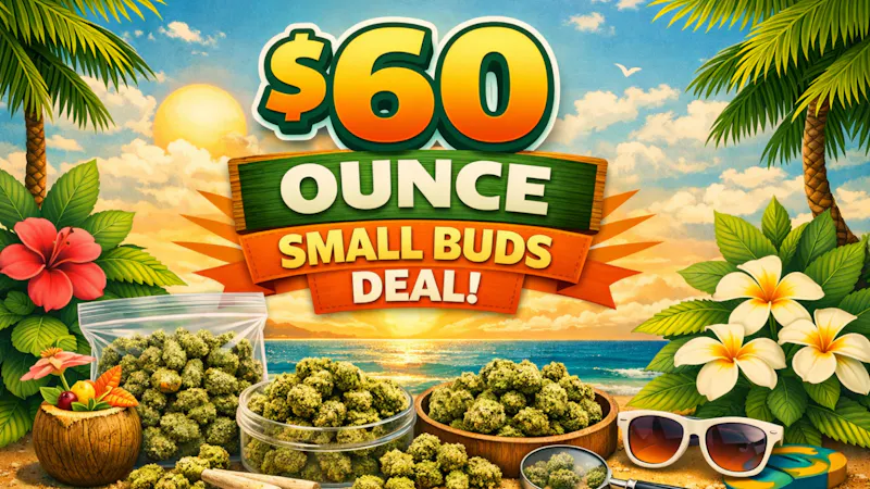 First Class Cannabis - Saco $60 OZ SMALL BUDS