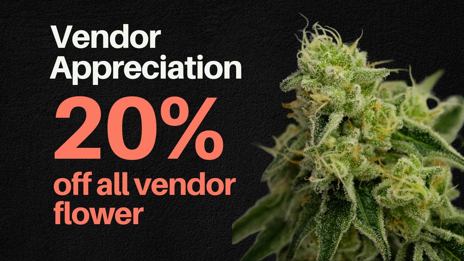First Class Cannabis - Biddeford 20% OFF FLOWER