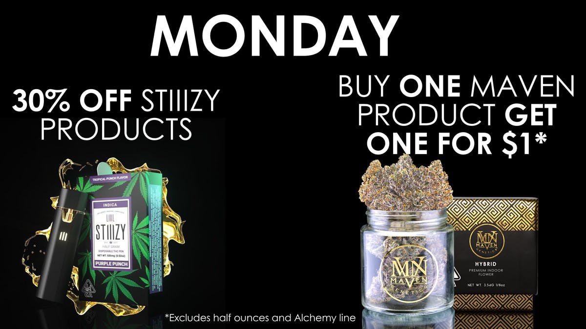 The Maven Store Monday Daily Deal