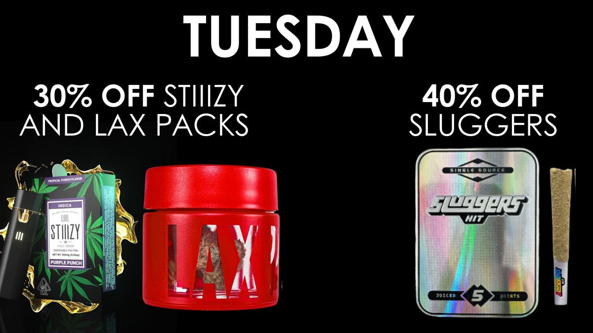 The Maven Store Tuesday Daily Deal