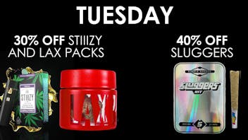 The Maven Store Tuesday Daily Deal