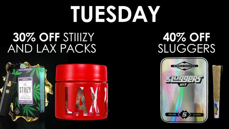 The Maven Store Tuesday Daily Deal