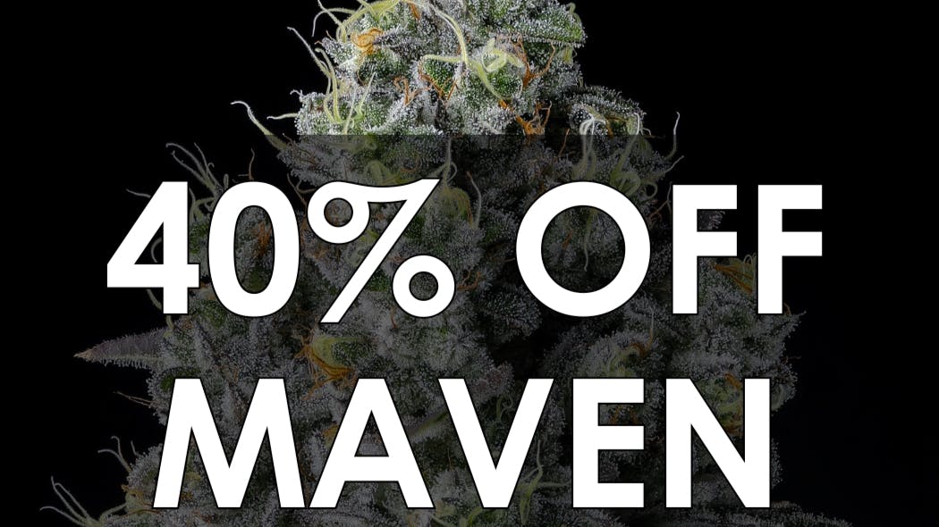 The Maven Store Maven Saturday Event!!