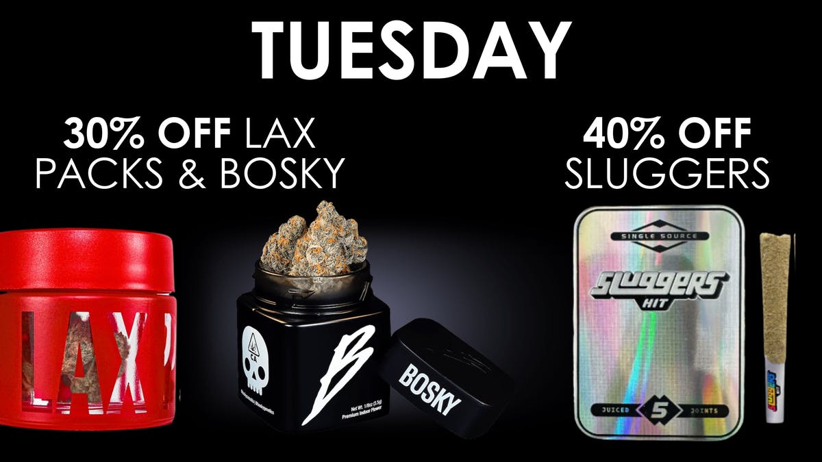 The Maven Store Tuesday Daily Deal