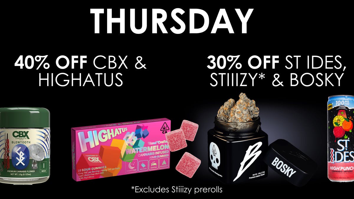 The Maven Store Thursday Daily Deal