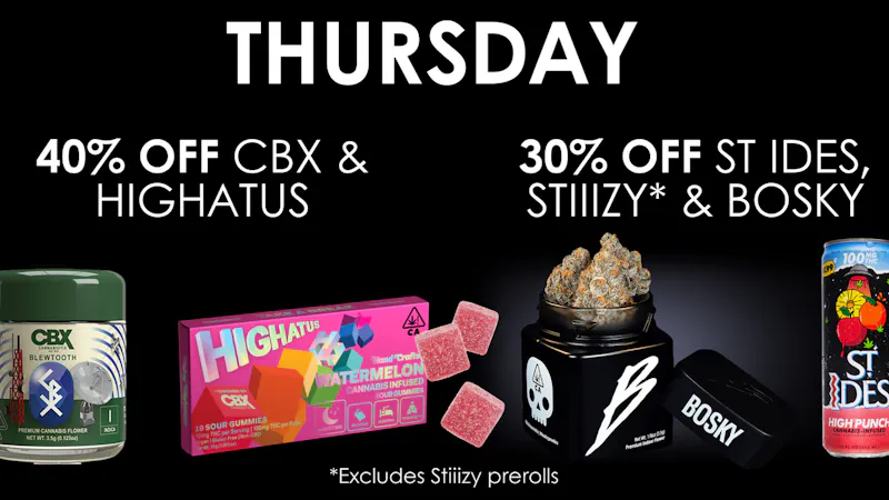 The Maven Store Thursday Daily Deal