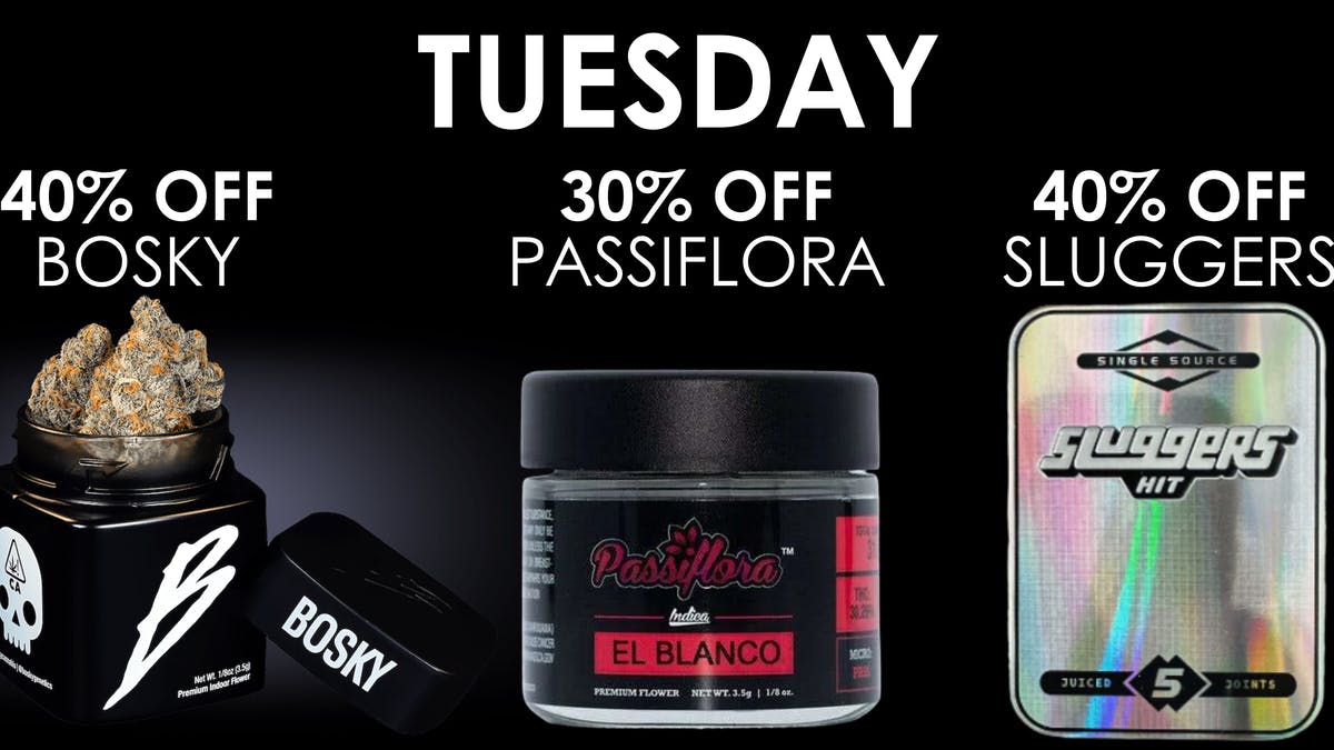 The Maven Store Tuesday Daily Deal