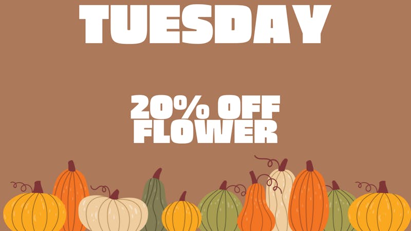 The Magnolia Healing 20% OFF FLOWER!