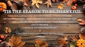 Ganja World - Bangor Thankful for you