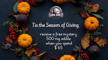 Ganja World - Bangor Free mystery 500mg edible 👀