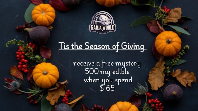 Ganja World - Bangor Free mystery 500mg edible 👀