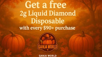Ganja World - Bangor Free 2g disposable
