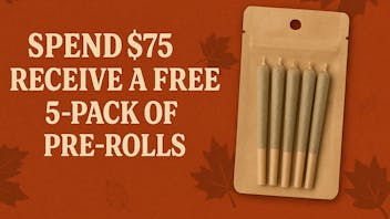 Ganja World - Bangor Free 5 pack pre roll