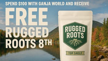 Ganja World - Bangor Free Rugged Roots 8th day
