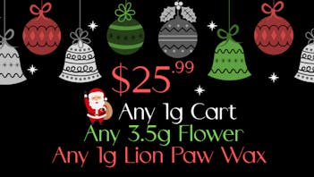 Backwood Express - Waveland - OPENS NOV. 1ST! $25.99 Holiday Deals!!