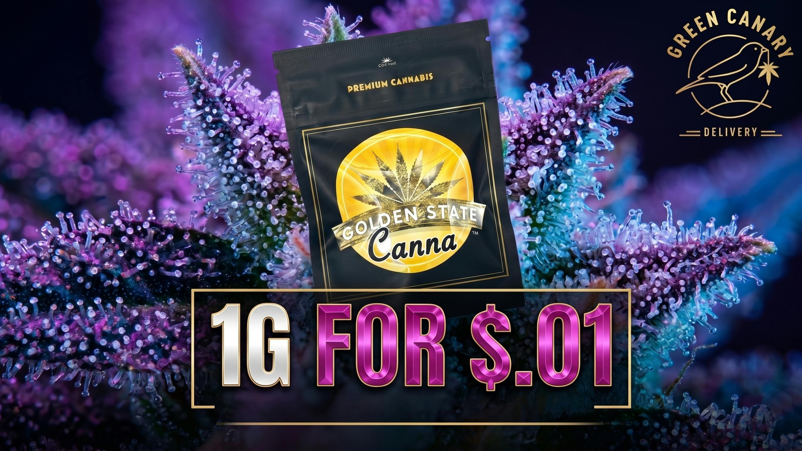 Green Canary 🔥 1G for almost FREE🔥