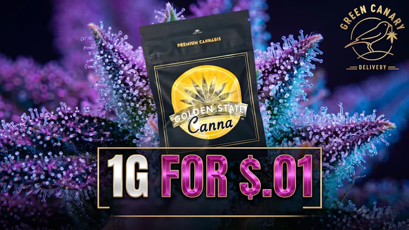 Green Canary 🔥 1G for almost FREE🔥