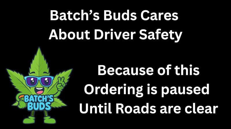 Batch's Buds Orders Paused Until Roads Are Clear