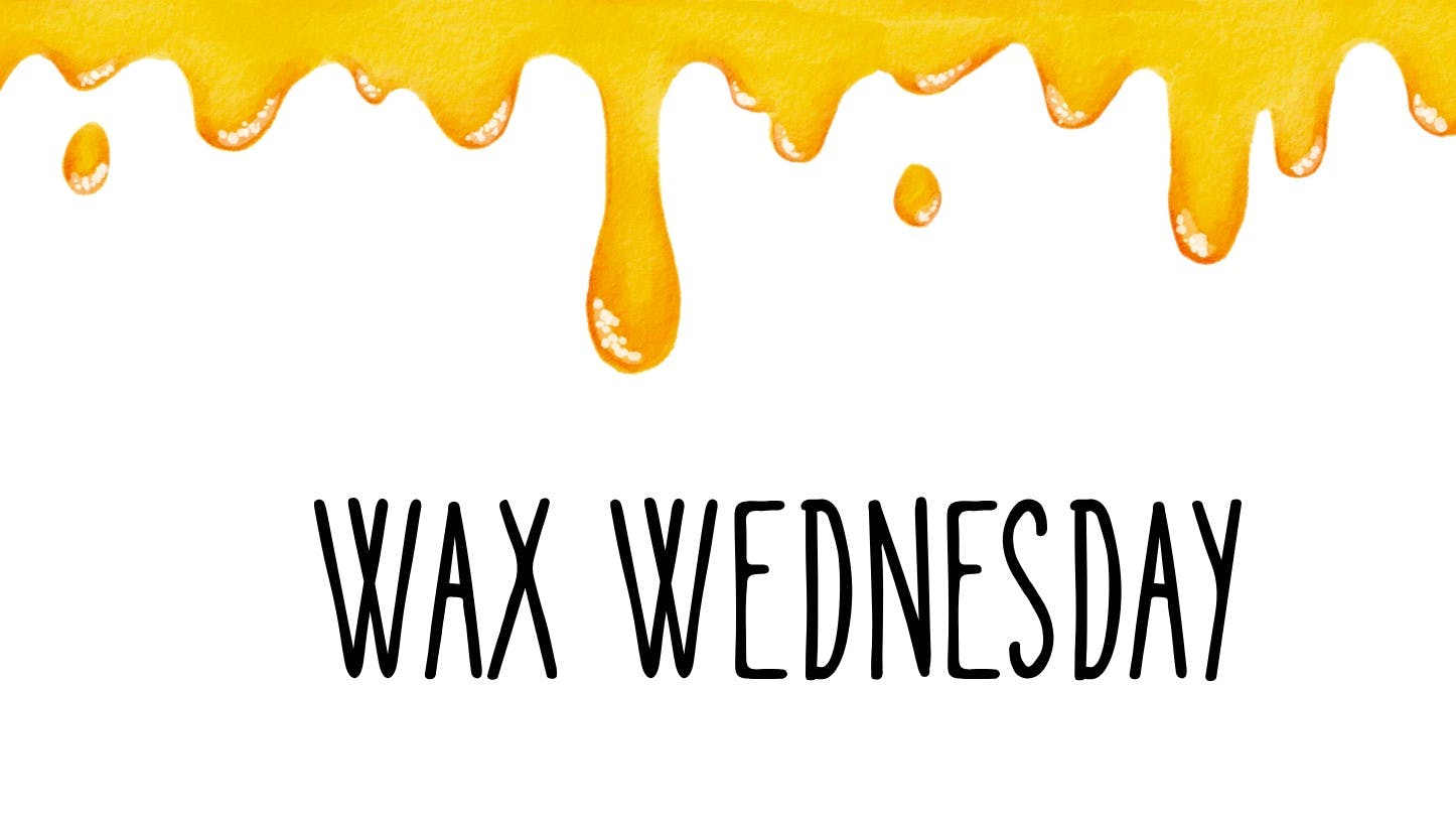 Green Magnolia - Meridian Wax Wednesday's