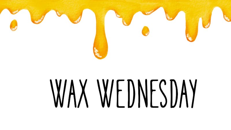 Green Magnolia - Meridian Wax Wednesday's