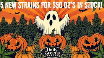 Daily Greens fall savings 2025 2