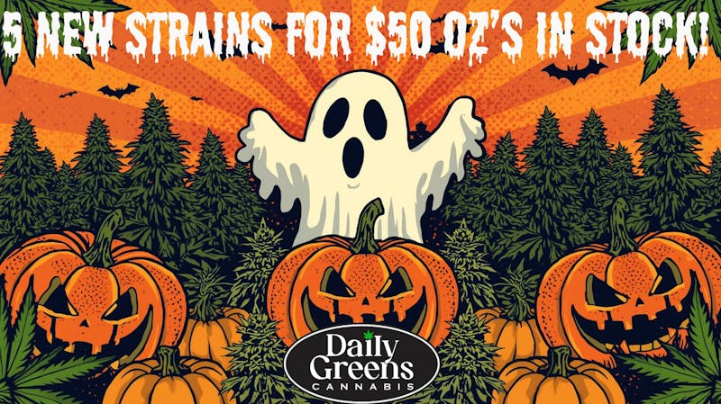 Daily Greens fall savings 2025 2