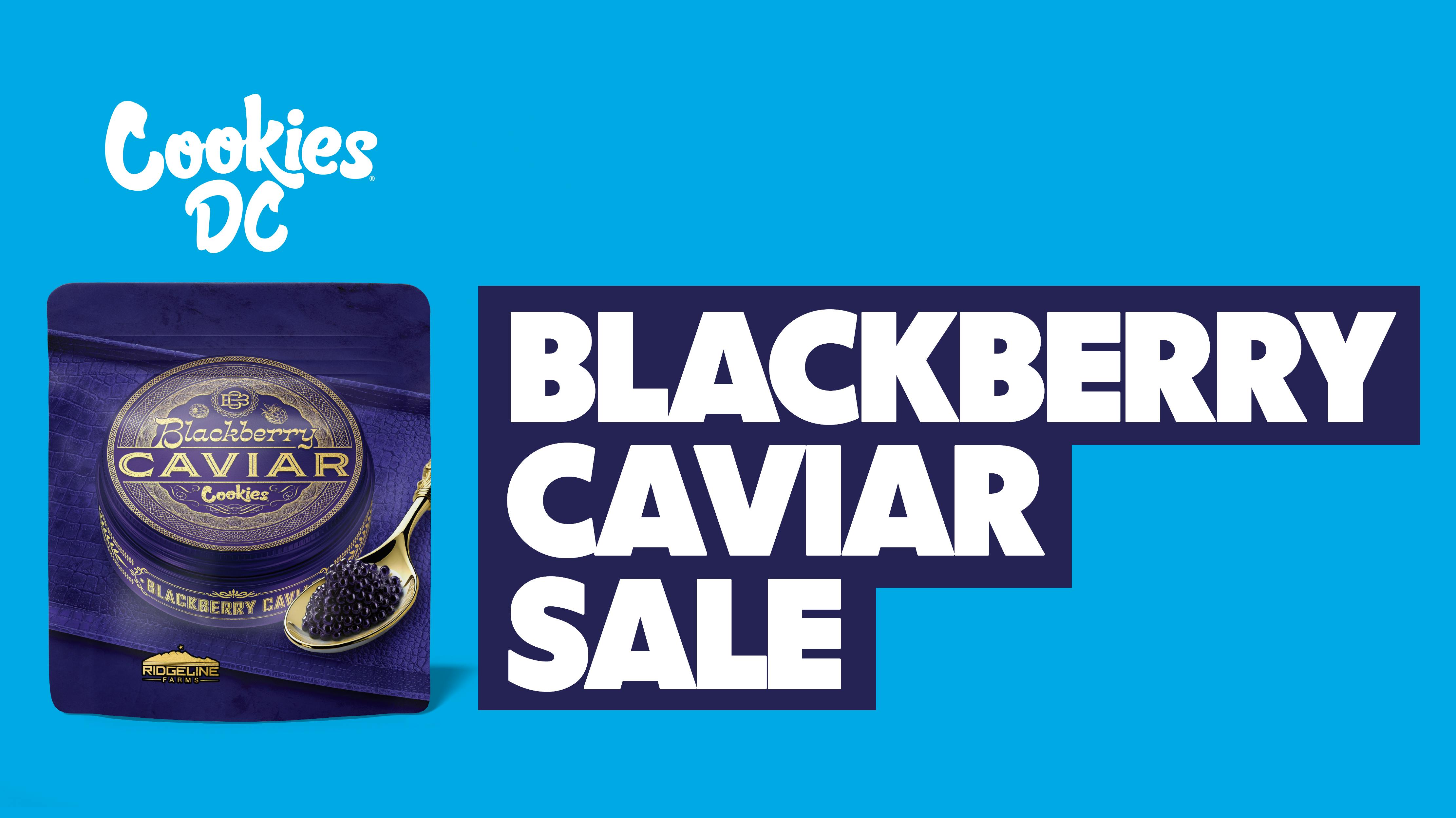 Cookies DC Blackberry Caviar on sale