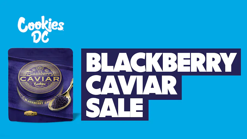 Cookies DC Blackberry Caviar on sale