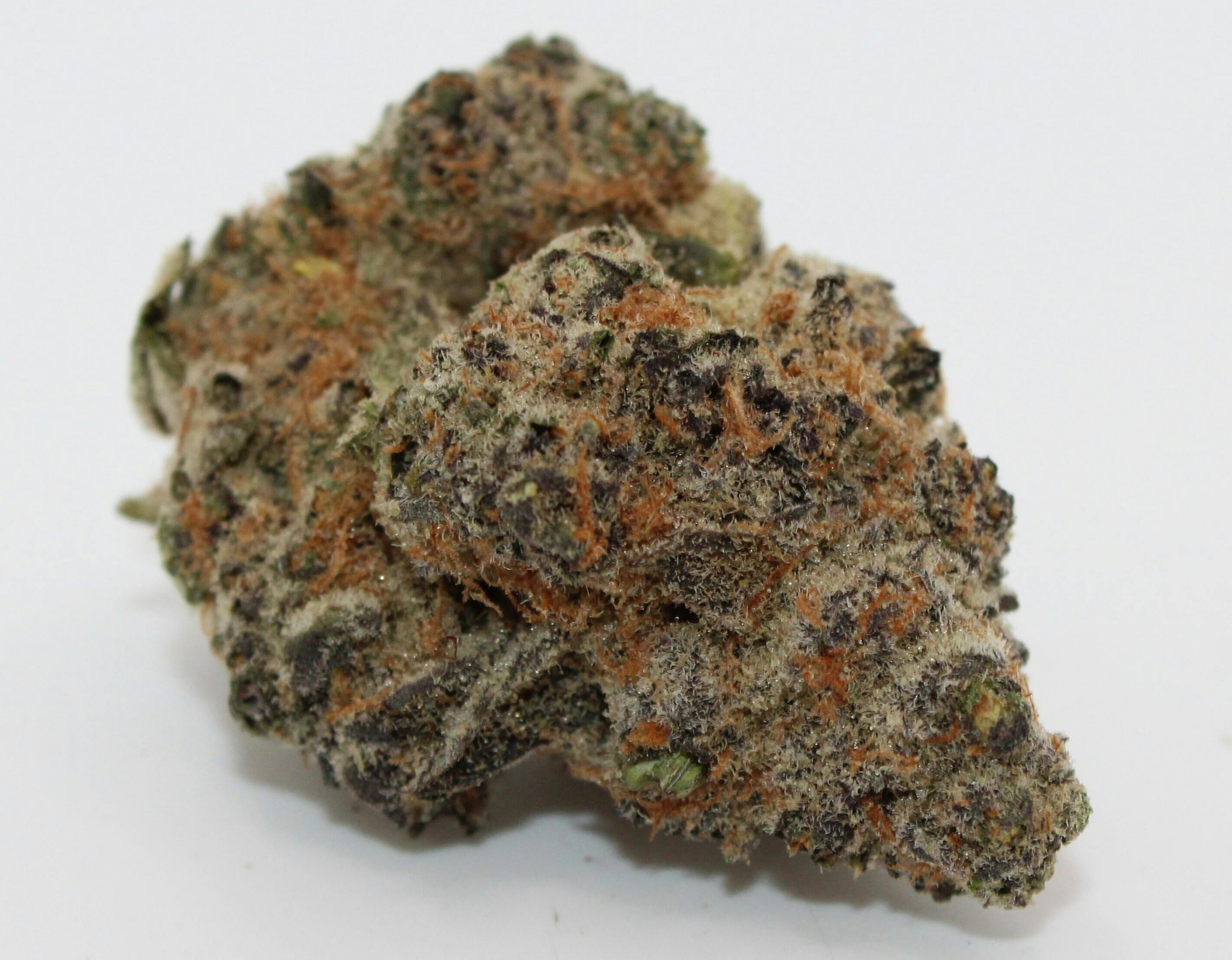 Sherbacio