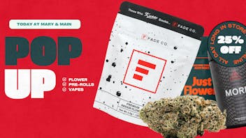 Mary & Main 25% Off Story Brands