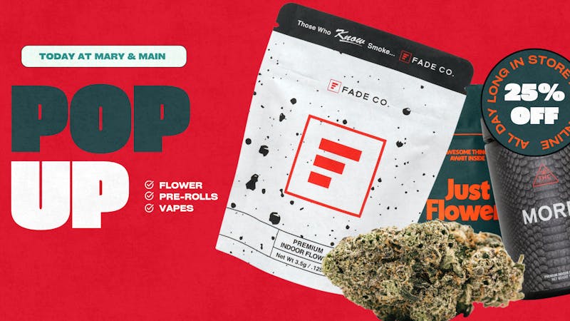 Mary & Main 25% Off Story Brands