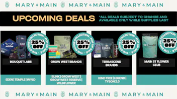 Mary & Main 25% Off Blink, Legend, Wyld, Tyson 2.0 & More