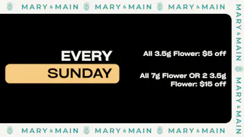Mary & Main Sunday Flower Deals (See Details Below)