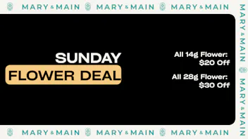 Mary & Main Sunday Flower Deals (See Image For Details)