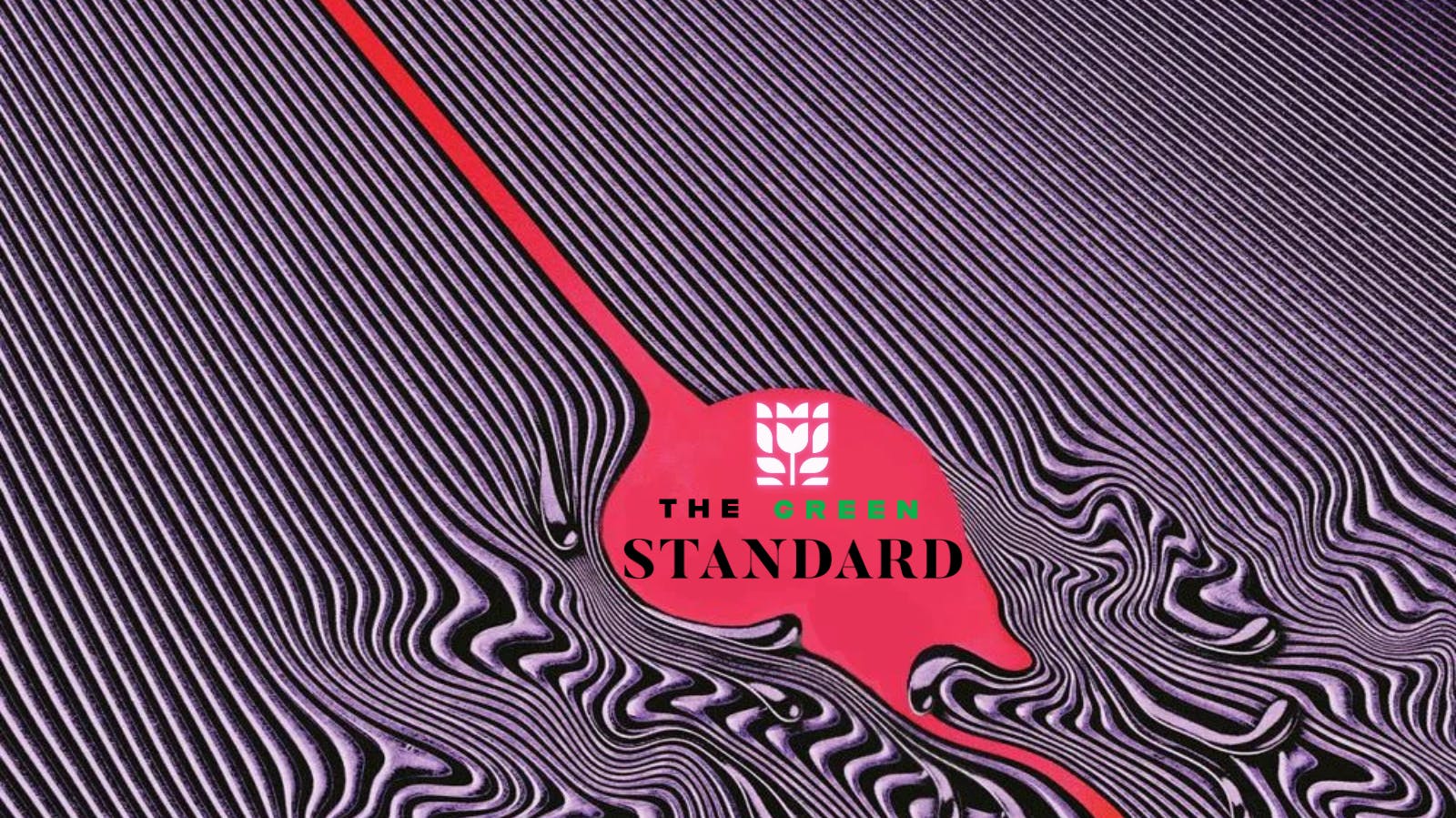 The Green Standard Tupelo Ride the Currents. Elevate the Moment