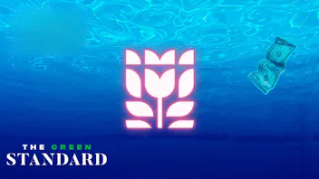 The Green Standard Carthage Smells Like Premium Savings 💨