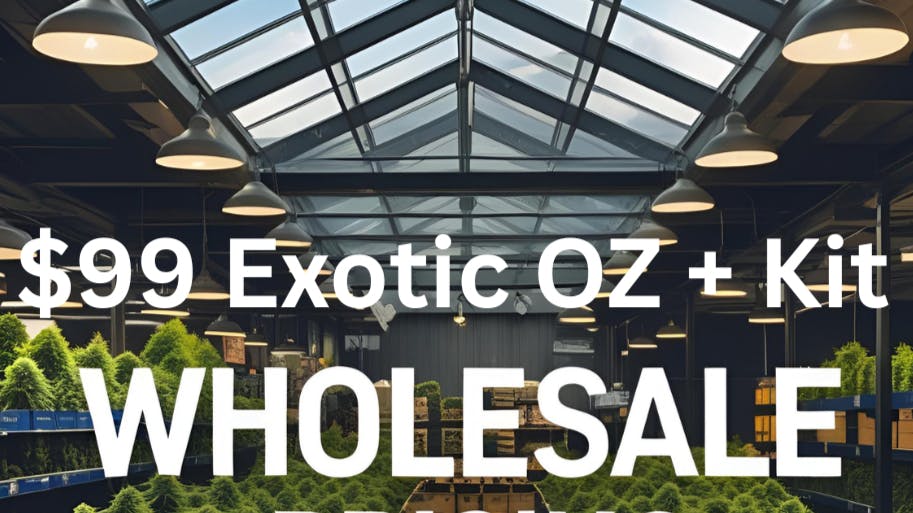 Can Deliver NY - Long Island 99$ OZ + FREE KIT