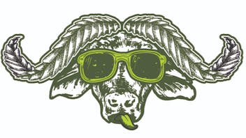 Presidio 20% OFF STOREWIDE