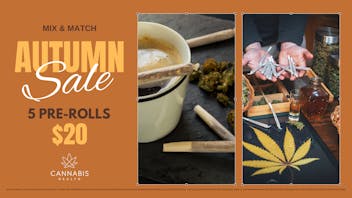 Cannabis Health Mix & Match 5 Pre-Rolls for $20