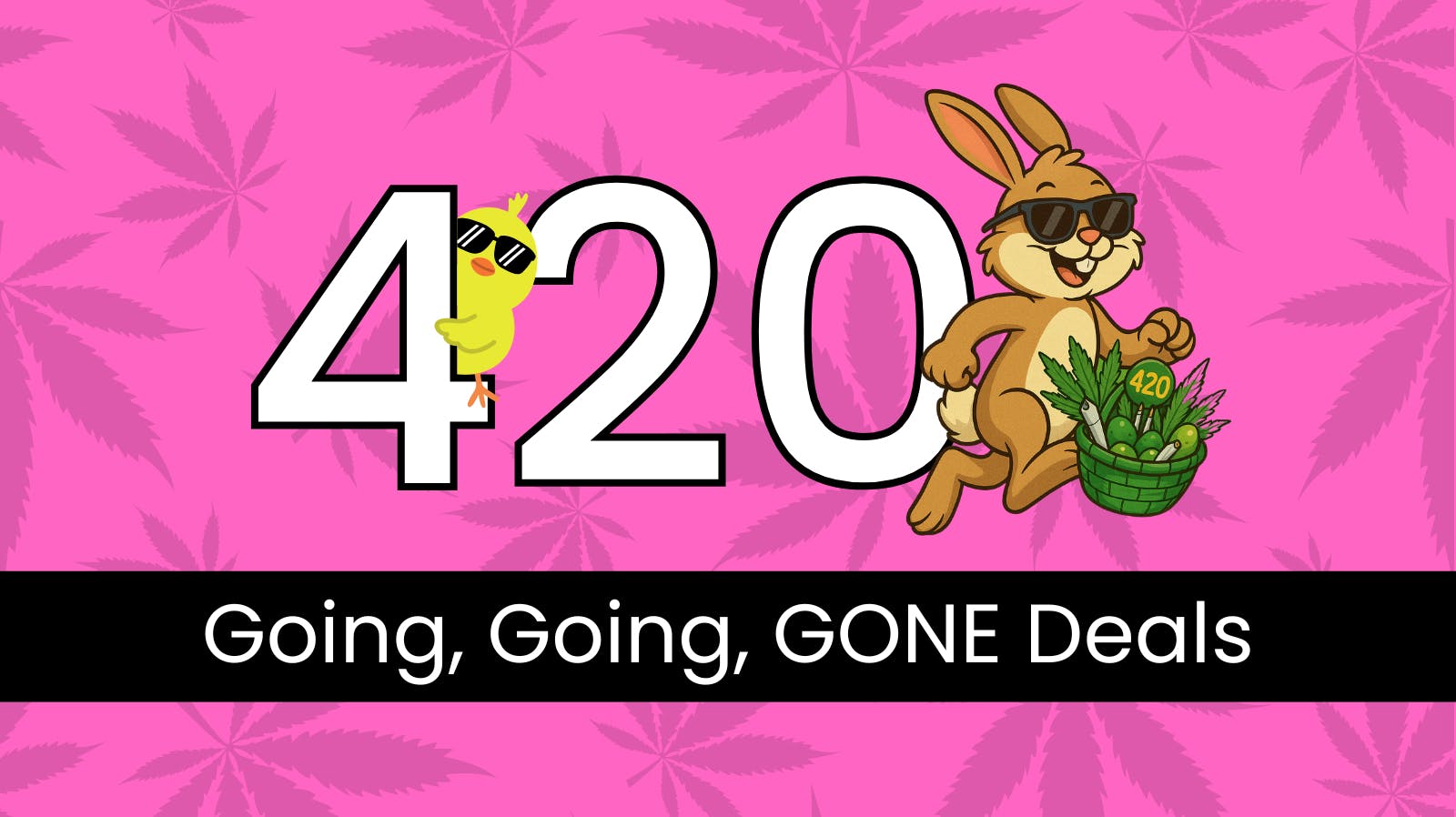 Greenery Spot 25% Off Whole Store First Time Customer